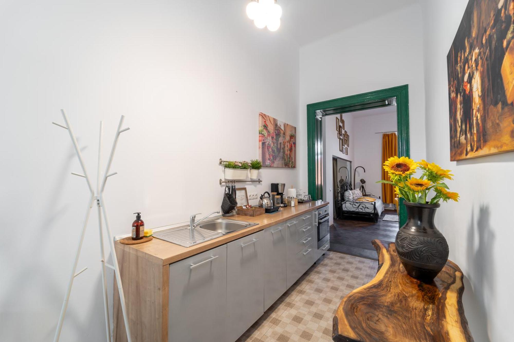 Noble 5 Star House In Unirii Plaza Βίλα Κλουζ-Ναπόκα Εξωτερικό φωτογραφία